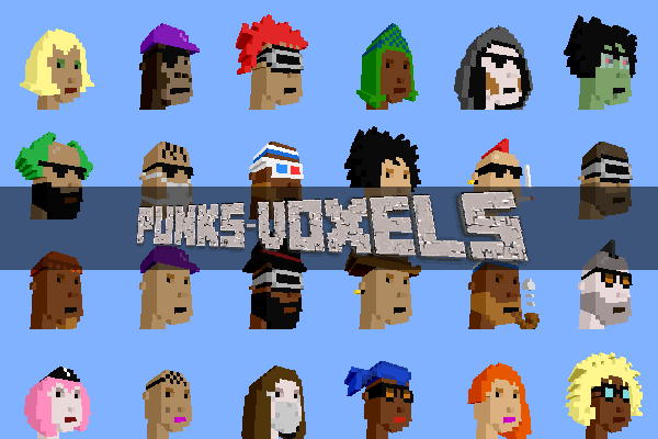 PunksVoxels art